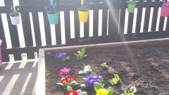 Planting in Oak class